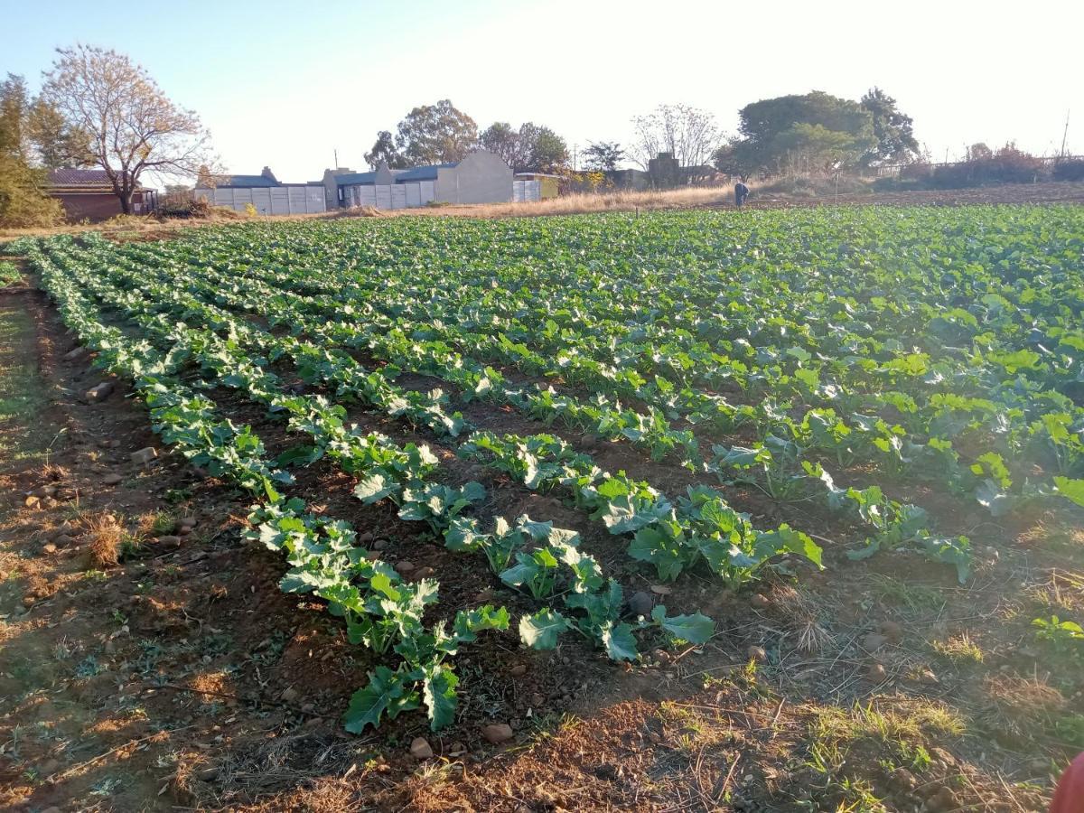Shalom Place Of Peace Vasfontein エクステリア 写真
